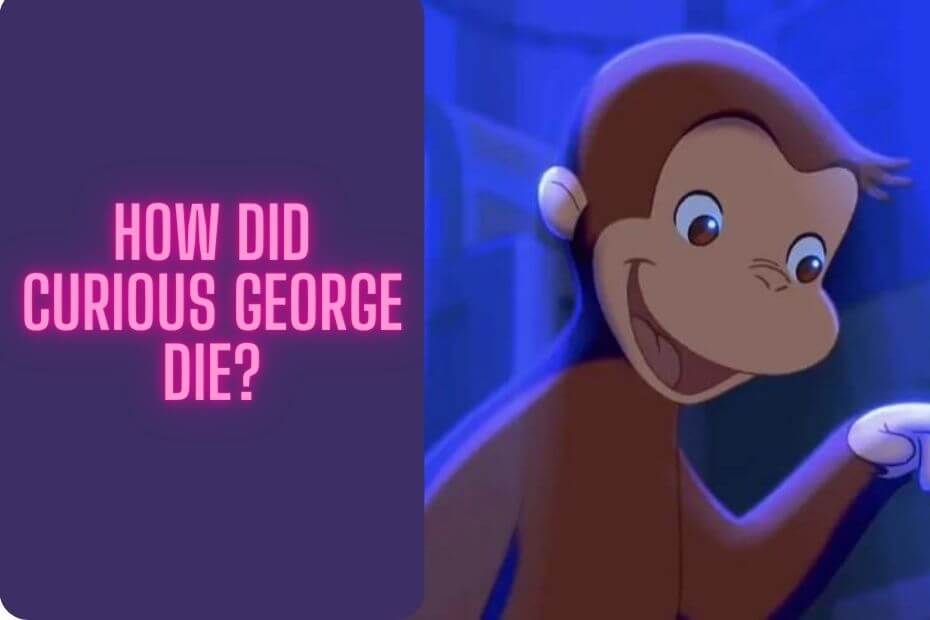 How did curious George die