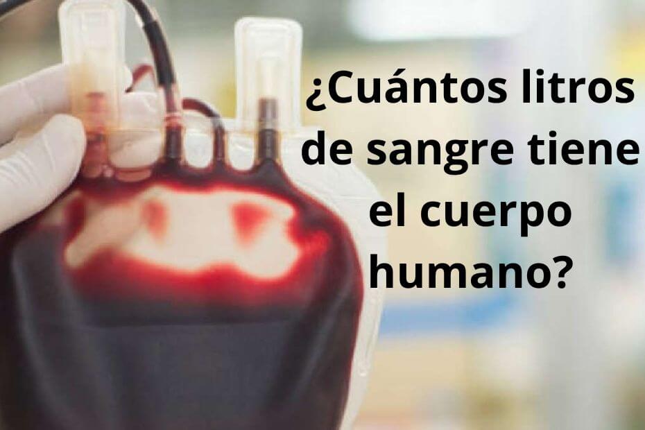 cuantos litros de sangre tiene el cuerpo humano