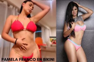 pamela franco en bikini fotos y videos