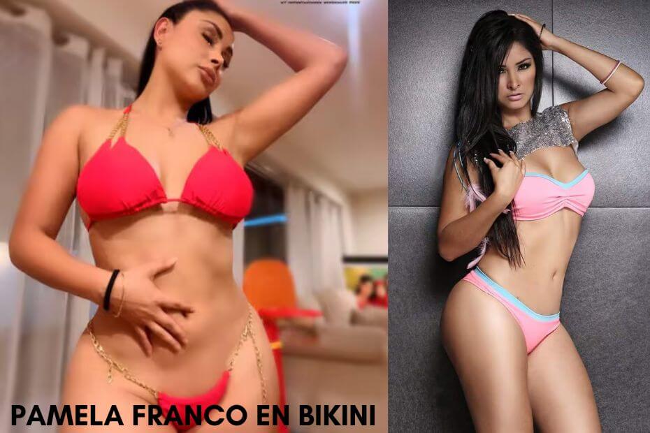 pamela franco en bikini fotos y videos